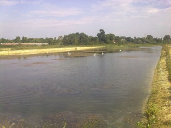 Immagine 5 realizzazione Cava di argilla a Marcon