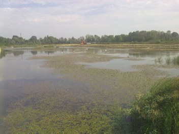 Immagine 4 realizzazione Cava di argilla a Marcon