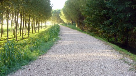 Immagine 24 realizzazione Itinerario ciclopedonale lungo il Brenta