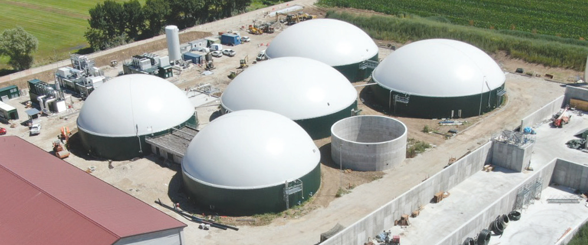Immagine 2 servizio Energie 
rinnovabili
ed altri servizi
